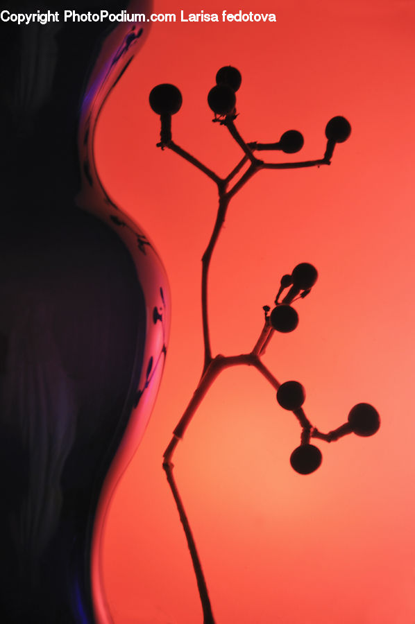 Silhouette, Art, Modern Art, Fractal, Glasses, Goggles, Sunglasses