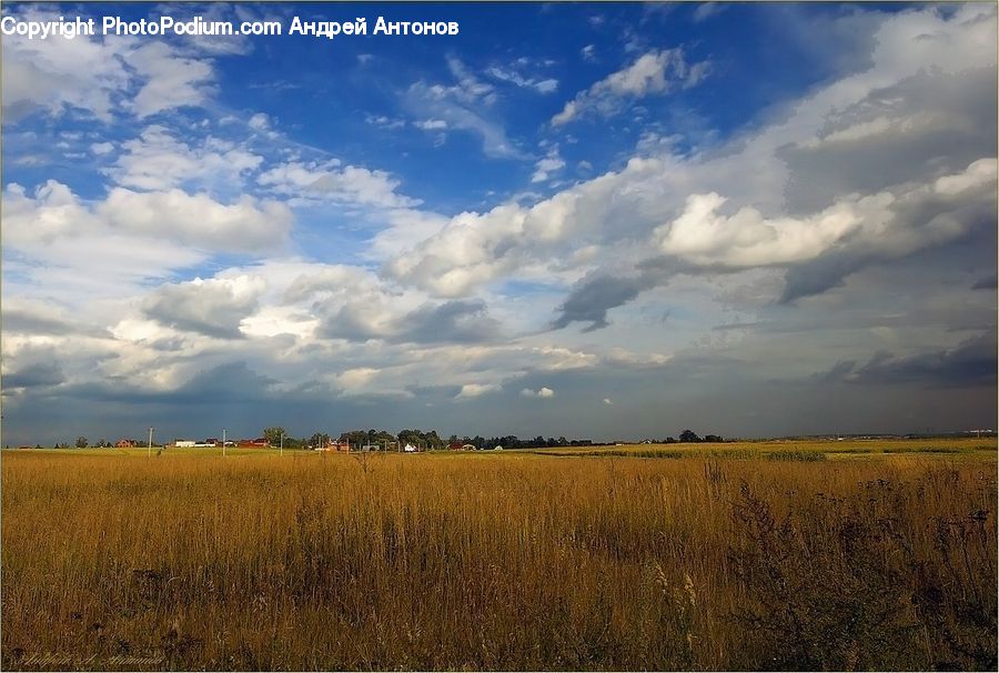 Field, Grass, Grassland, Land, Outdoors, Cloud, Cumulus