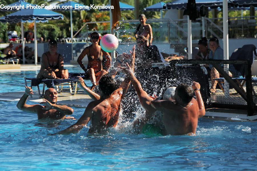 People, Person, Human, Sport, Swimming, Water, Diver
