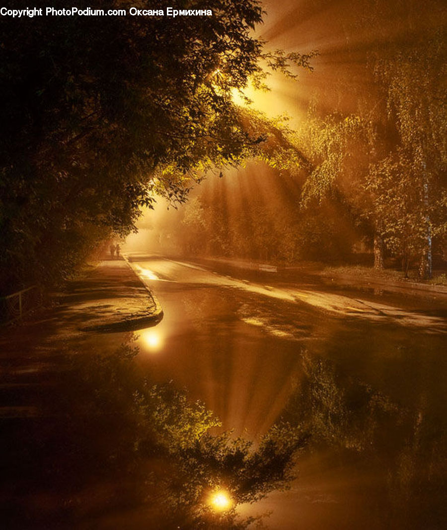 Flare, Light, Dirt Road, Gravel, Road