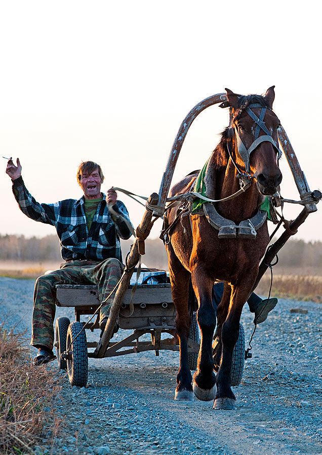 Buggy, Carriage, Horse Cart, Wagon, People, Person, Human