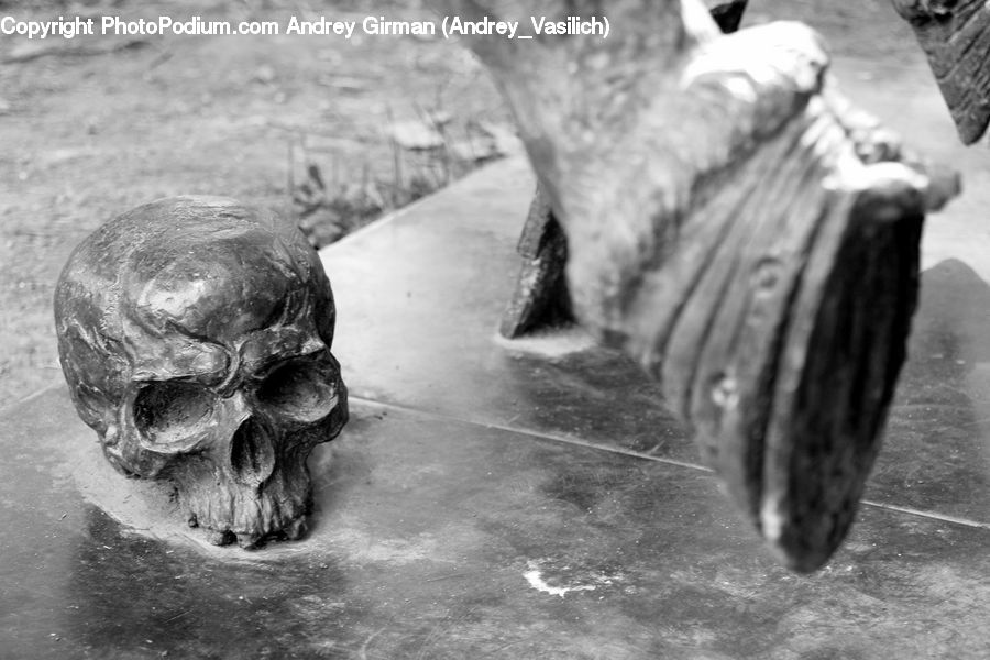 Reptile, Tortoise, Turtle, Rock