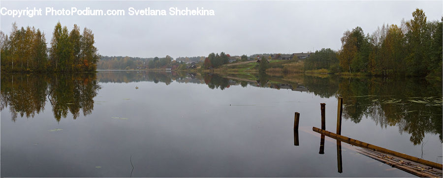 Lake, Outdoors, Water, Dock, Landing, Pier, Conifer