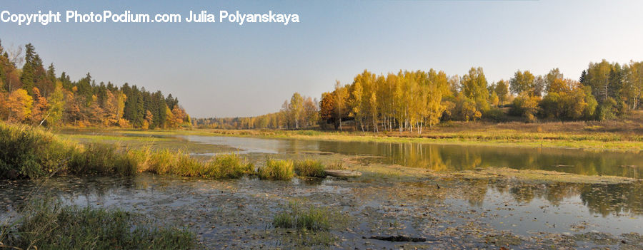 Outdoors, River, Water, Field, Grass, Grassland, Plant