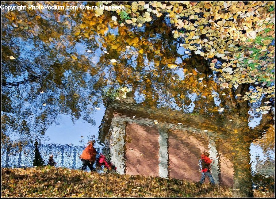 Building, Cottage, Housing, Birch, Tree, Wood, Plant