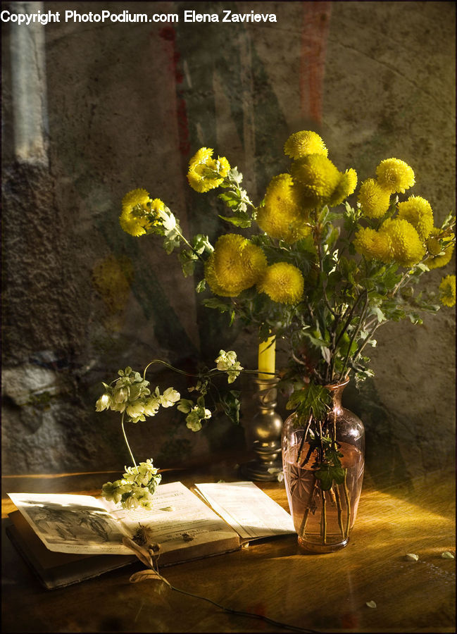 Plant, Potted Plant, Floral Design, Flower, Flower Arrangement, Flower Bouquet, Ikebana