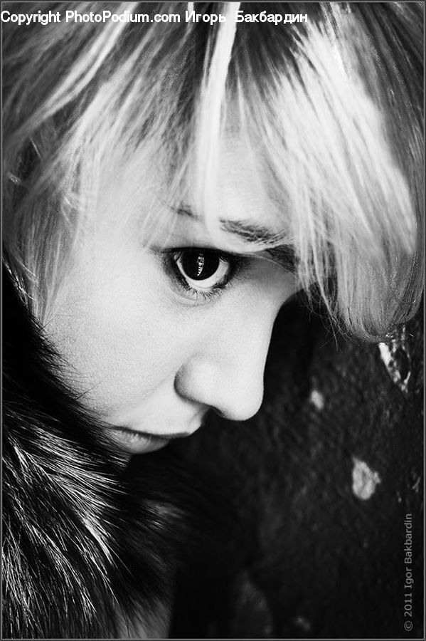 People, Person, Human, Portrait, Female, Blonde