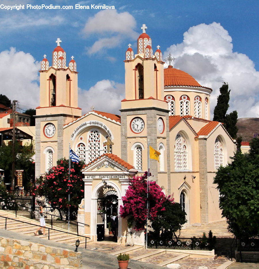 Plant, Potted Plant, Tree, Architecture, Housing, Monastery, Church