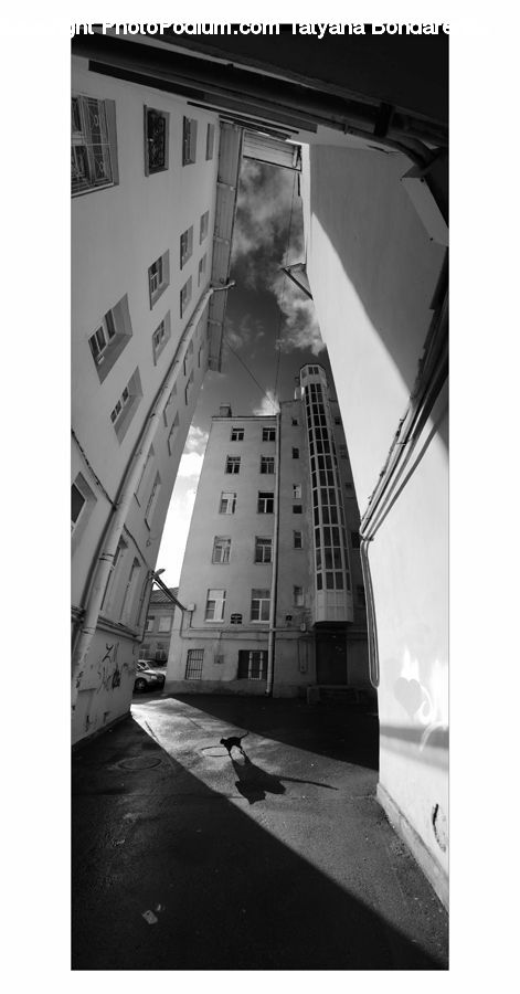 Projection Screen, Screen, Apartment Building, Building, High Rise, Collage, Poster