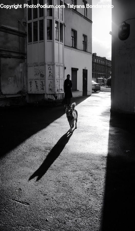 Alley, Alleyway, Road, Street, Town, Boardwalk, Path