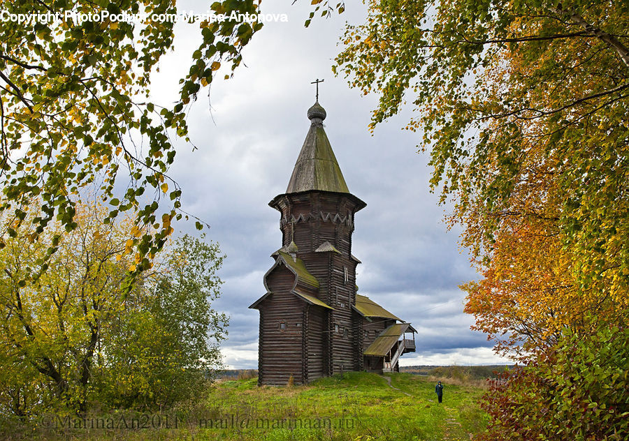 Architecture, Bell Tower, Clock Tower, Tower, Leaf, Plant, Potted Plant