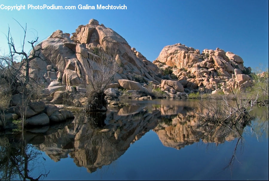 Outdoors, Pond, Water, Rock, Plant, Tree, Crest