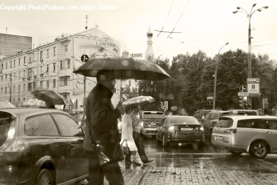 Human, People, Person, Automobile, Car, Vehicle, Plant