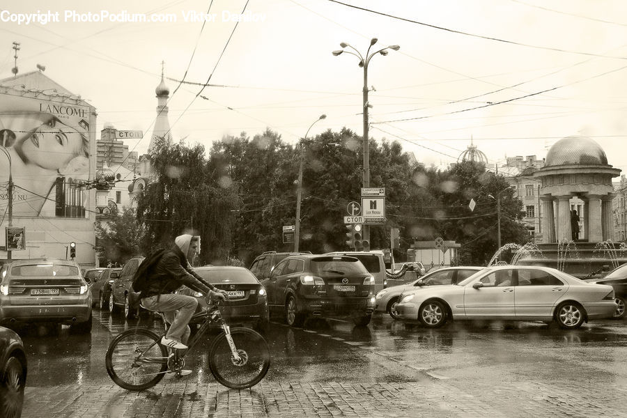 Automobile, Car, Vehicle, People, Person, Human, Bicycle