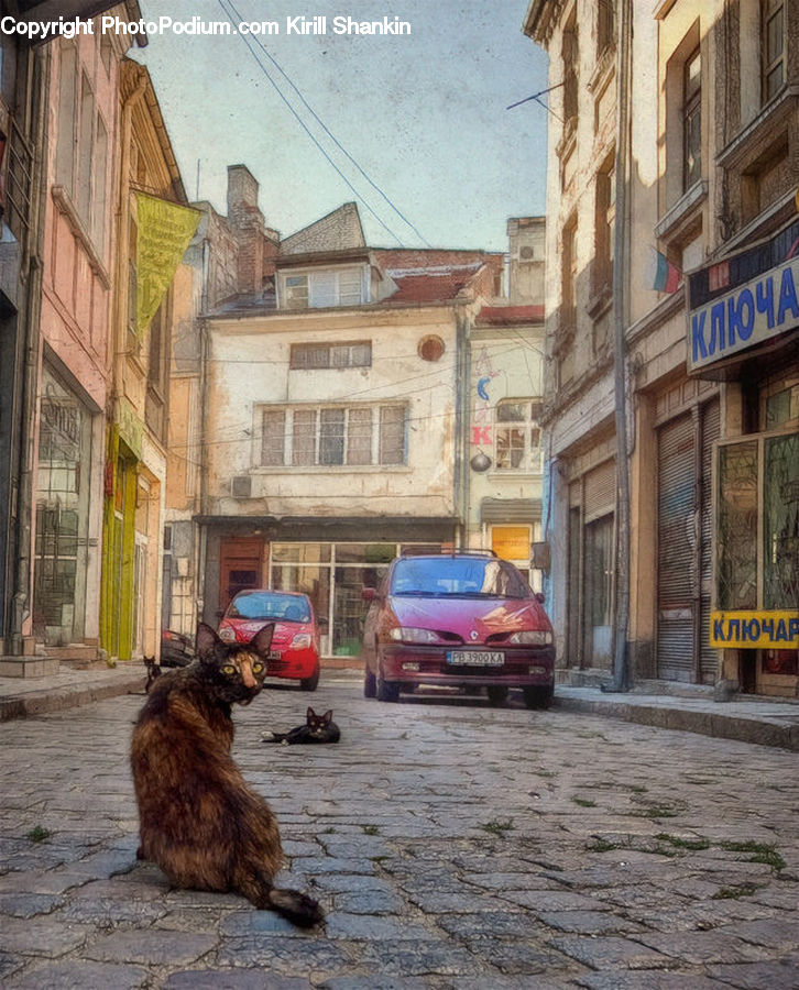 Cobblestone, Pavement, Walkway, Alley, Alleyway, Road, Street