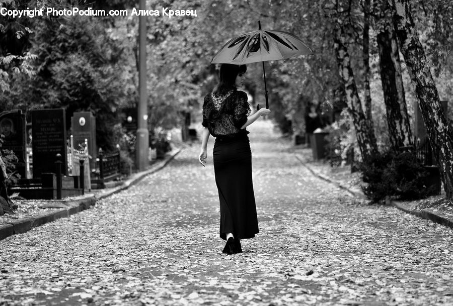 People, Person, Human, Umbrella, Forest, Vegetation, Female
