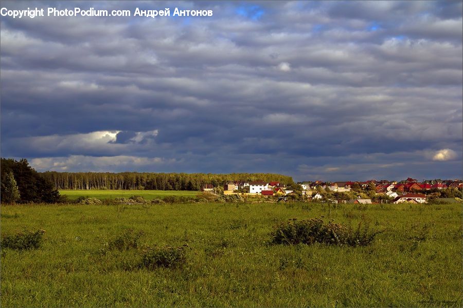 Field, Grass, Grassland, Land, Outdoors, Landscape, Nature