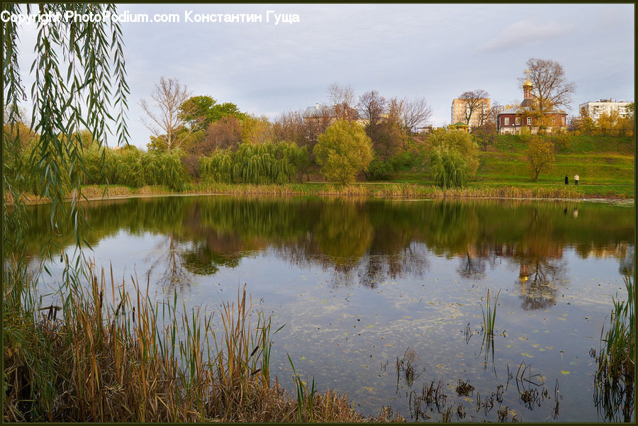 Outdoors, Pond, Water, Field, Grass, Grassland, Plant