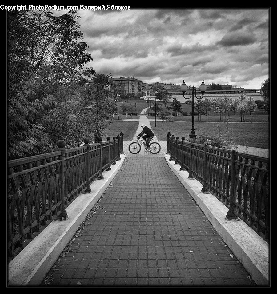 Path, Sidewalk, Walkway, Road, Trail, Alley, Alleyway