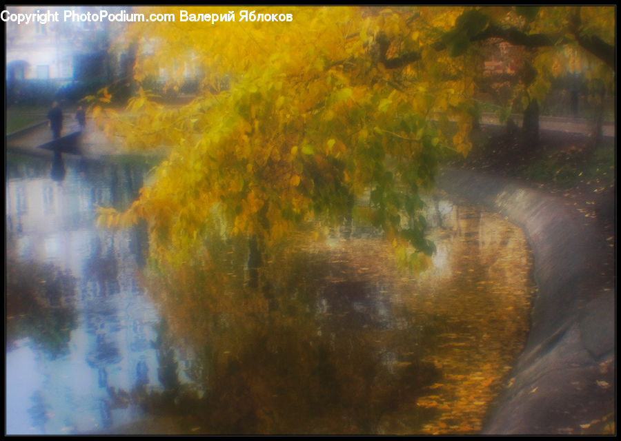 Land, Marsh, Pond, Swamp, Water, Algae, Art