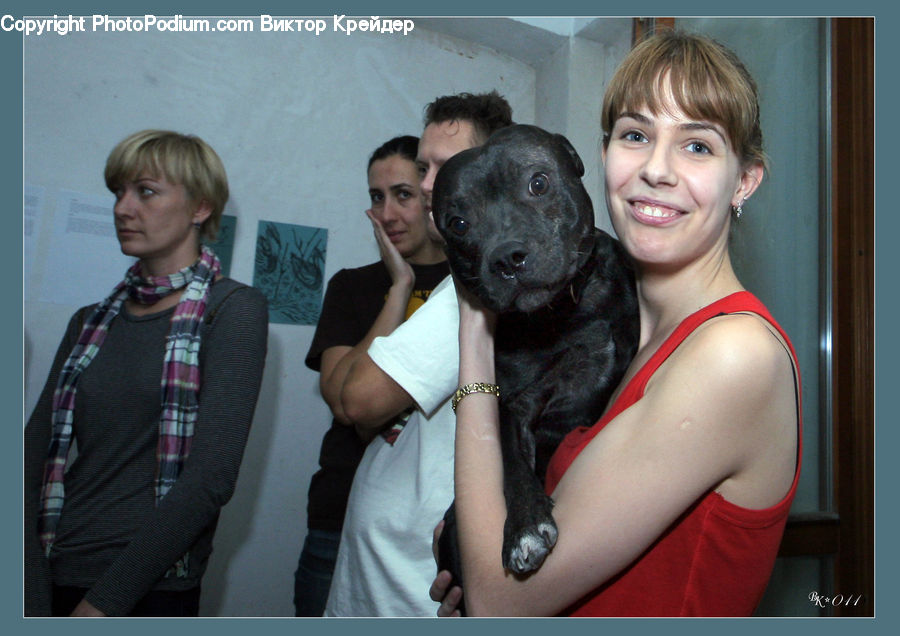 People, Person, Human, Animal, Bulldog, Canine, Dog