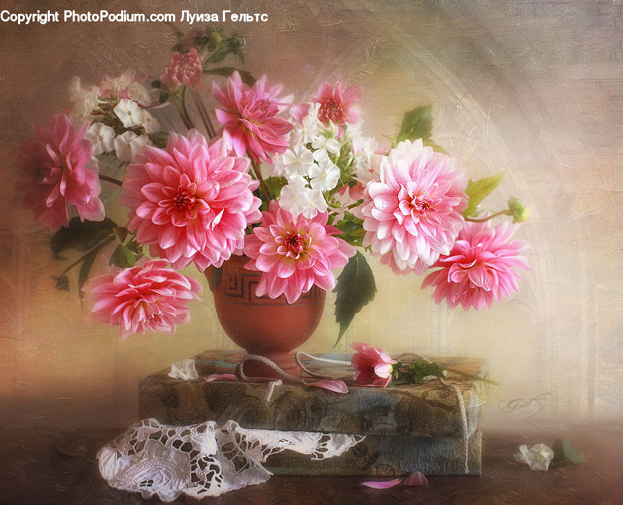 Plant, Potted Plant, Floral Design, Flower, Flower Arrangement, Flower Bouquet, Ikebana