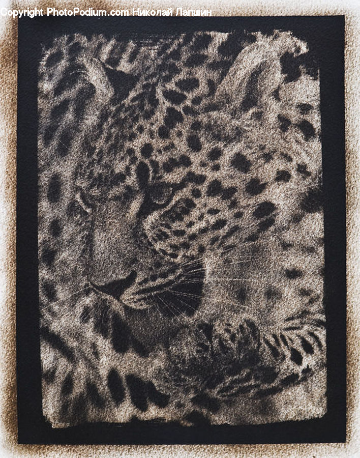 Cushion, Home Decor, Pillow