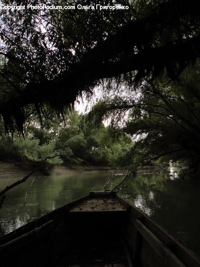 Canal, Outdoors, River, Water, Forest, Jungle, Rainforest