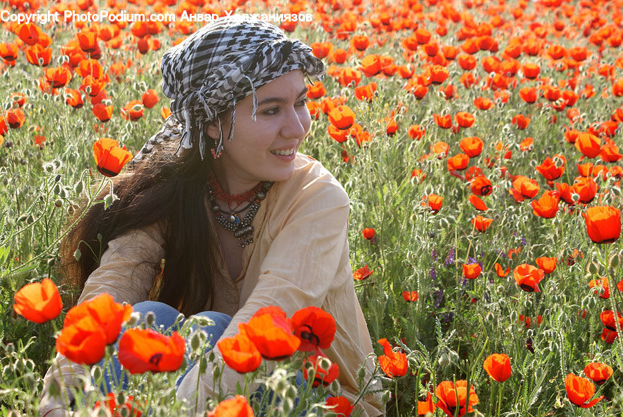 Blossom, Flora, Flower, Plant, Poppy, People, Person
