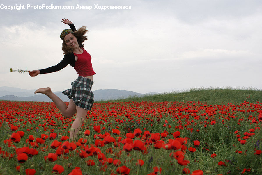 Blossom, Flora, Flower, Plant, Poppy, People, Person
