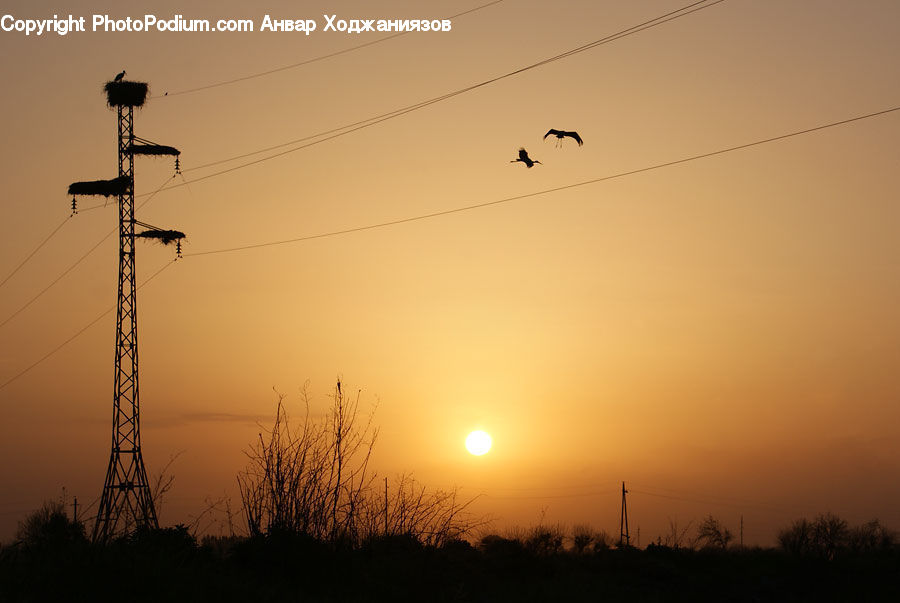 Cable, Electric Transmission Tower, Power Lines, Dawn, Dusk, Sky, Sunrise