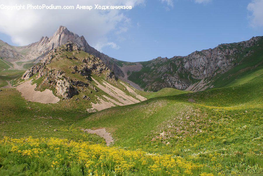 Field, Grass, Grassland, Land, Outdoors, Landslide, Plant