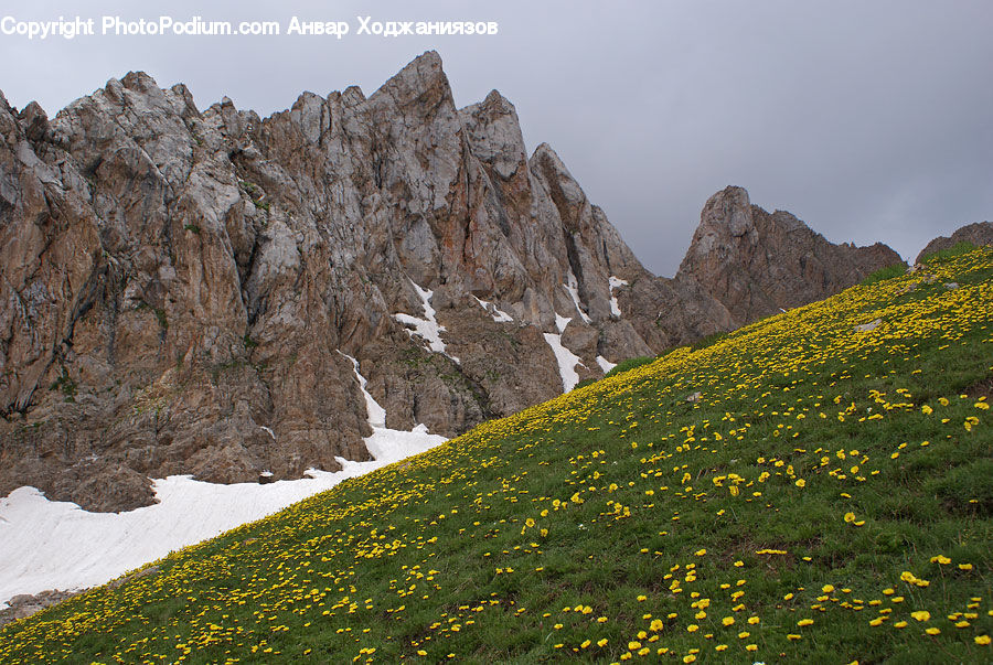 Crest, Mountain, Outdoors, Peak, Mountain Range, Field, Grass