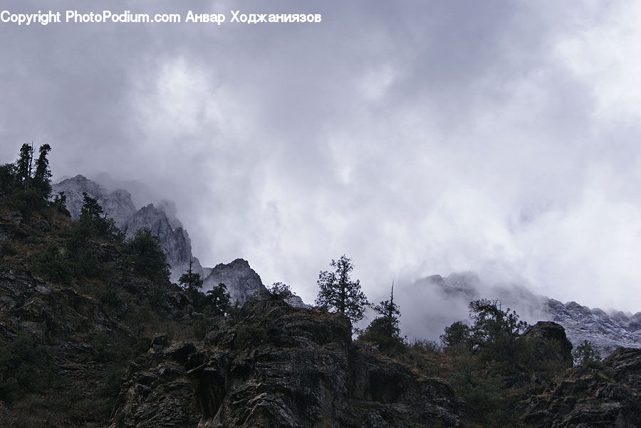 Crest, Mountain, Outdoors, Peak, Conifer, Fir, Plant