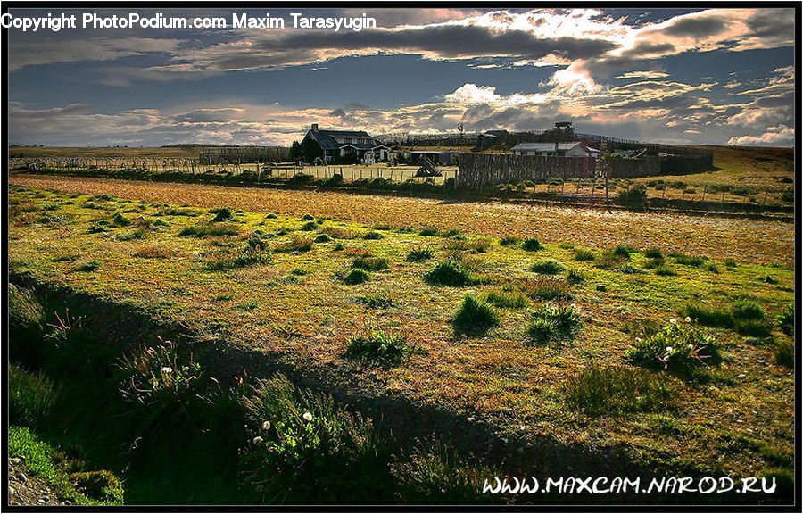 Field, Grass, Grassland, Land, Outdoors, Plateau, Landscape