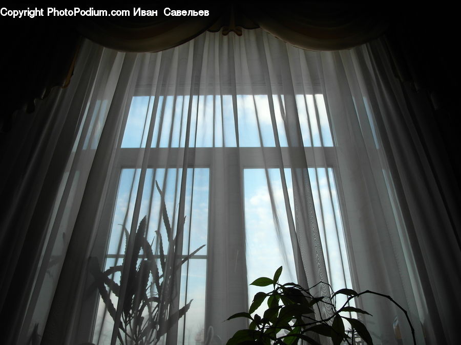 Curtain, Home Decor, Architecture, Housing, Skylight, Window, Plant