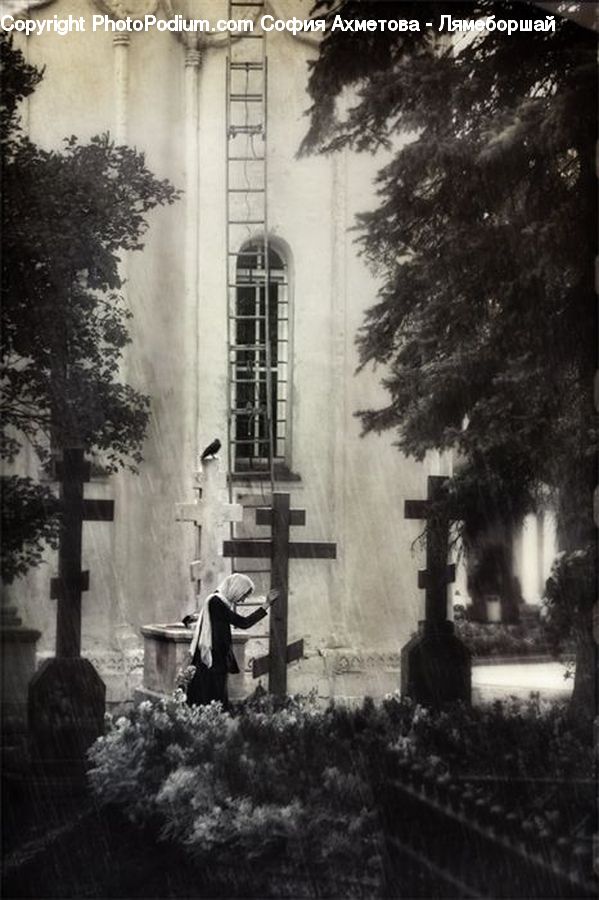 People, Person, Human, Plant, Potted Plant, Tomb, Architecture