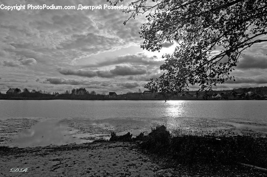 Water, Plant, Tree, Outdoors, Sea, Sand, Soil