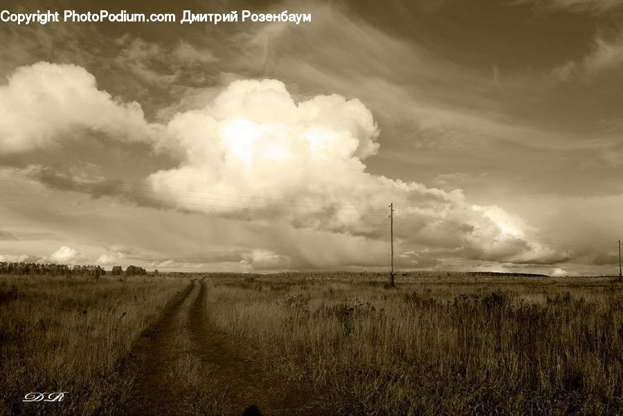 Cloud, Cumulus, Sky, Field, Grass, Grassland, Land
