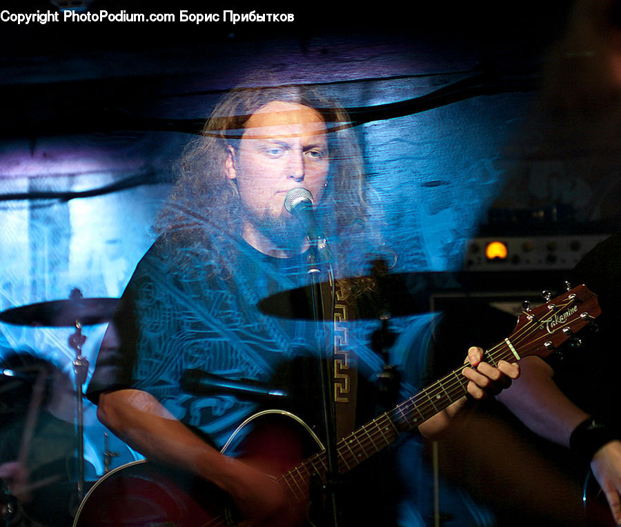 People, Person, Human, Sea Life, Guitar, Guitarist, Musical Instrument