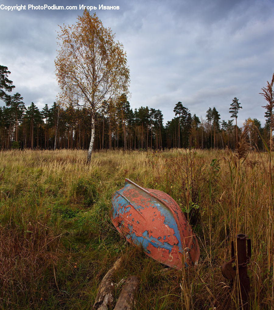 Field, Grass, Grassland, Plant, Boat, Dinghy, Land