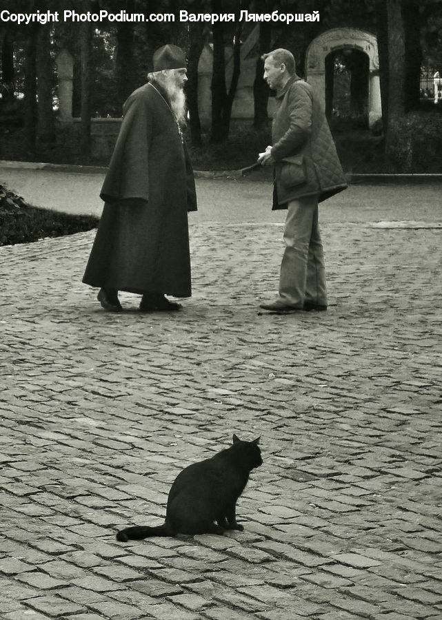 Human, People, Person, Arch, Cloak, Animal, Black Cat