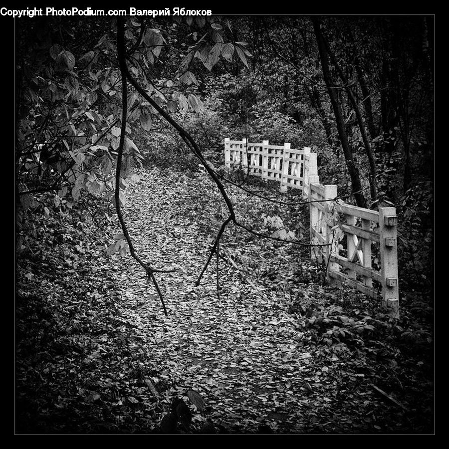 Tomb, Brick, Fence, Wall, Forest, Vegetation, Bench