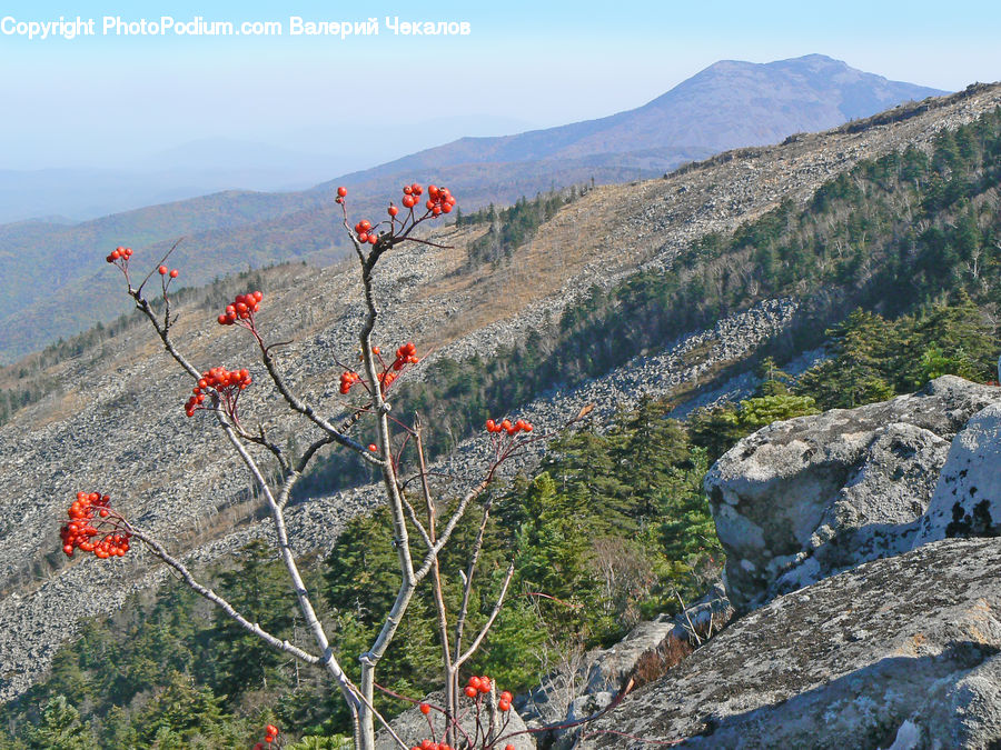 Crest, Mountain, Outdoors, Peak, Rock, Soil, Landscape