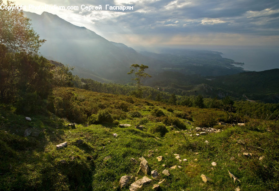 Field, Grass, Grassland, Land, Outdoors, Mountain, Mountain Range