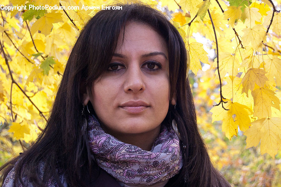 Human, People, Person, Female, Girl, Woman, Portrait