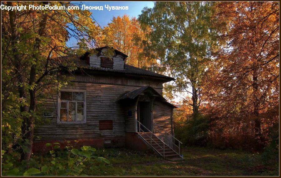 Building, Cottage, Housing, Cabin, Hut, Rural, Shack