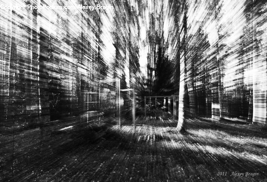 Bench, Brick, Birch, Tree, Wood, Forest, Vegetation