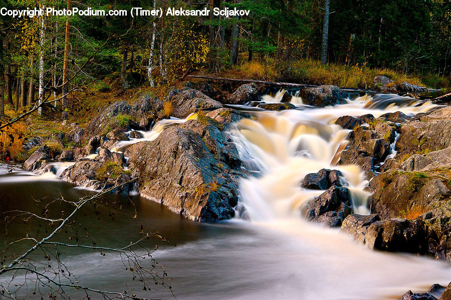 Creek, Outdoors, River, Water, Seaweed, Rock, Basin
