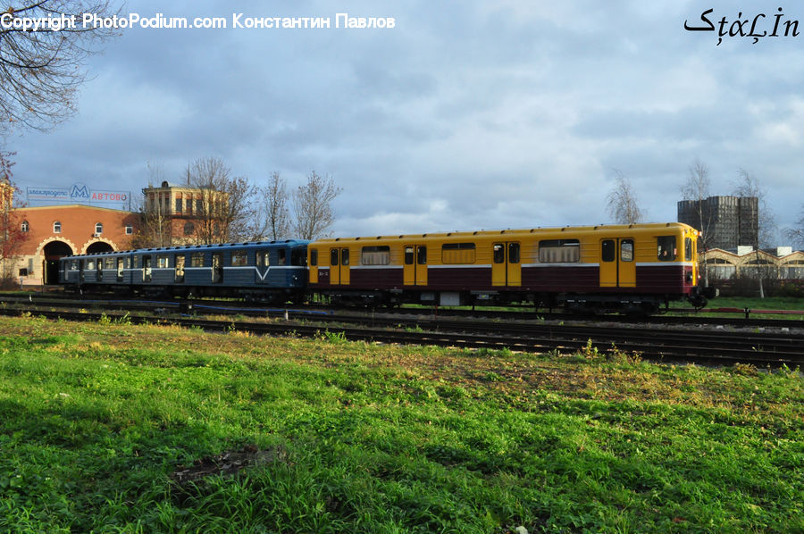 Train, Vehicle, Freight Car, Shipping Container, Cable Car, Streetcar, Trolley